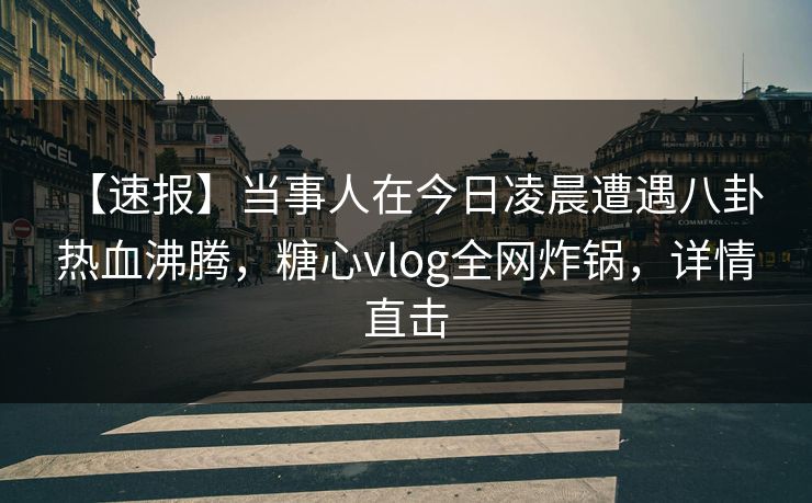 【速报】当事人在今日凌晨遭遇八卦 热血沸腾，糖心vlog全网炸锅，详情直击