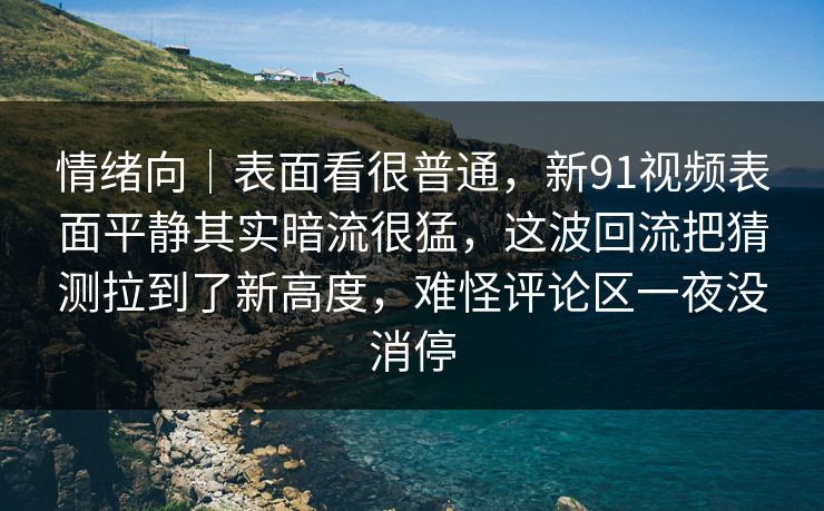 情绪向｜表面看很普通，新91视频表面平静其实暗流很猛，这波回流把猜测拉到了新高度，难怪评论区一夜没消停
